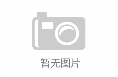 云南永善水电站项目监理邀请招标会议纪要